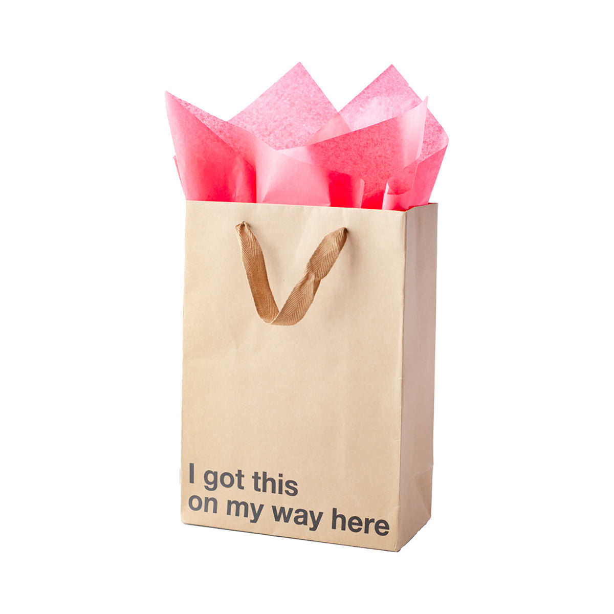 Snarky Gift Bags I Got This On My Way Here 3pk