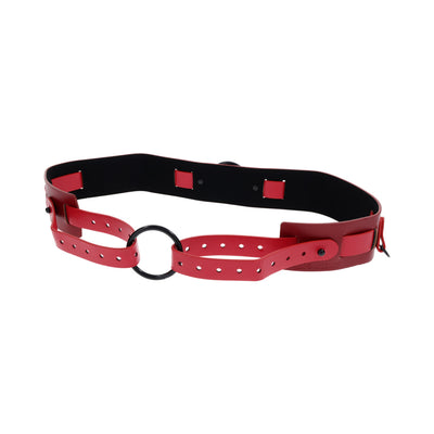SS S&M Ex's & Oh's Bound and Belted