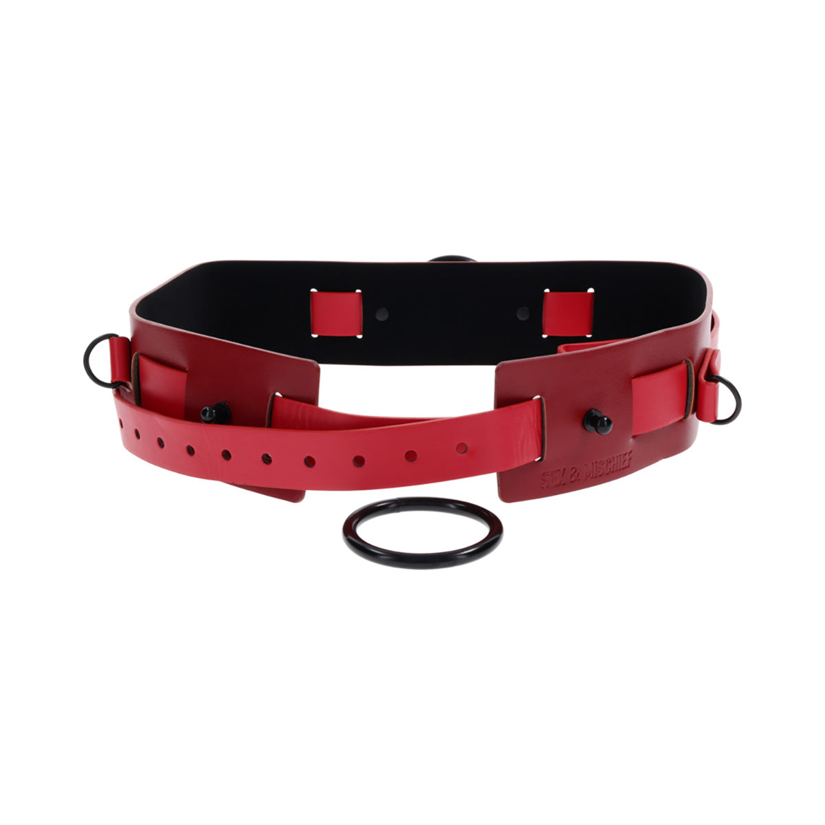 SS S&M Ex's & Oh's Bound and Belted