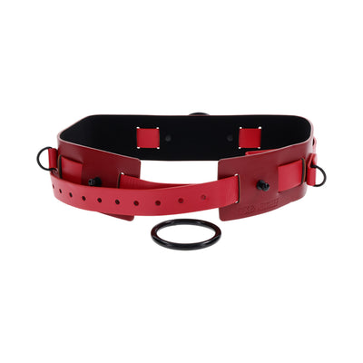 SS S&M Ex's & Oh's Bound and Belted