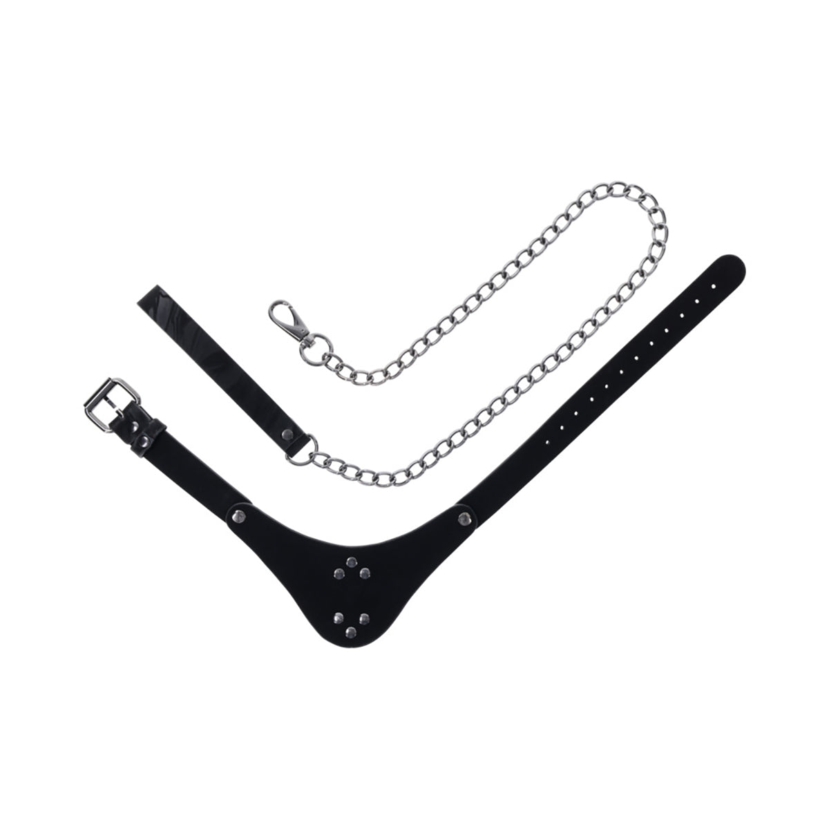 SS Velvet Noir Collar & Leash