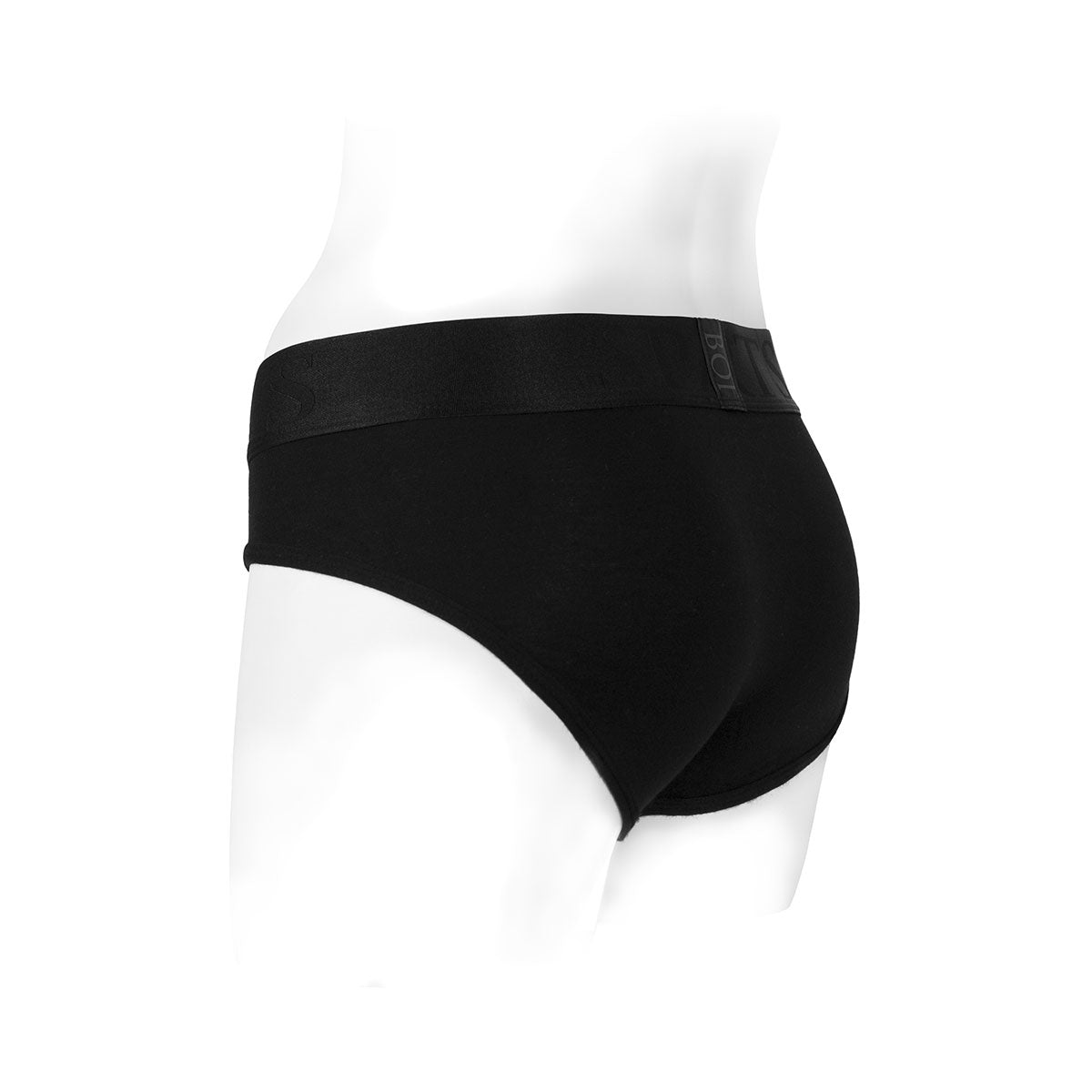 SpareParts Tomboi Rayon Brief Harness Black Size L