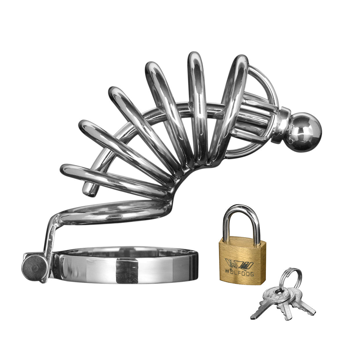 Asylum Locking Chastity Cage M/L