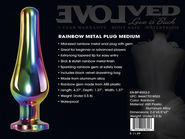 Rainbow Metal Plug Medium sextoyclub.com
