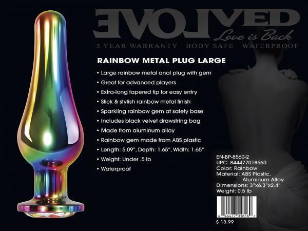 Rainbow Metal Plug Large sextoyclub.com